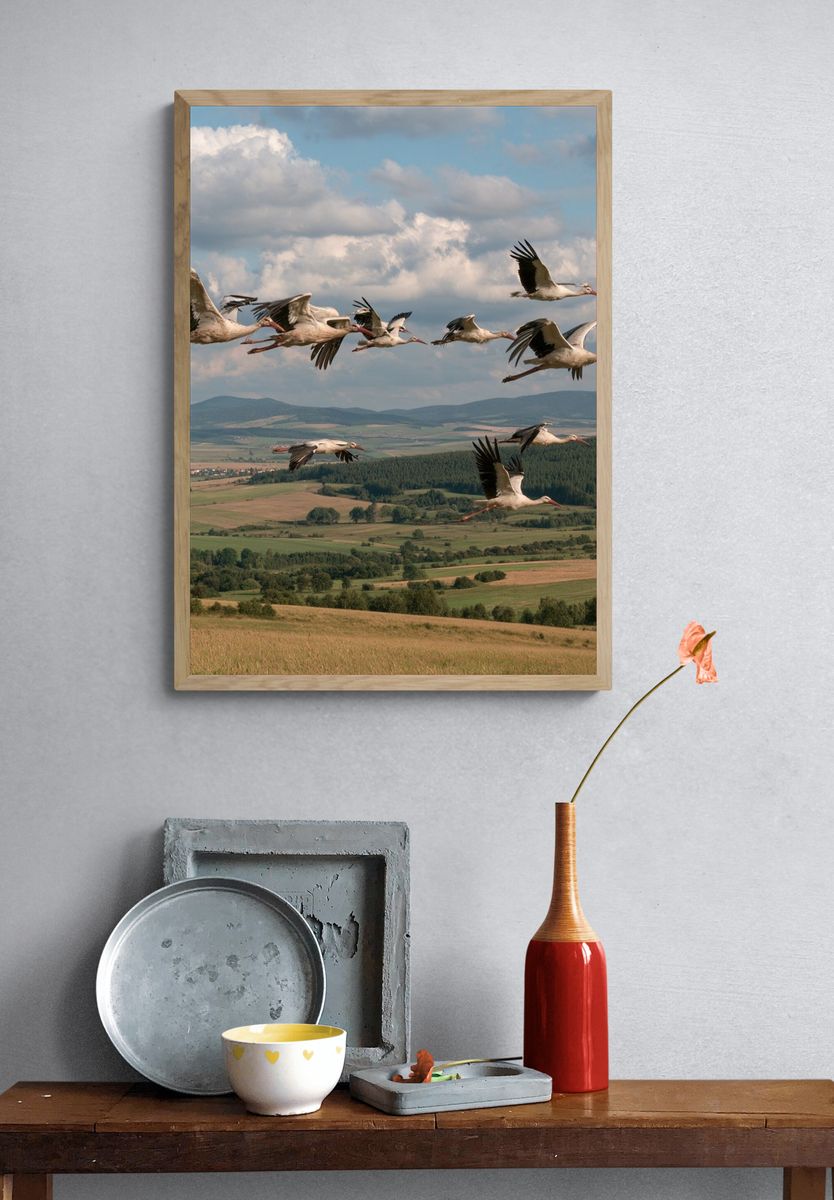 Flying Storks Over Countryside Poster. — room view 3