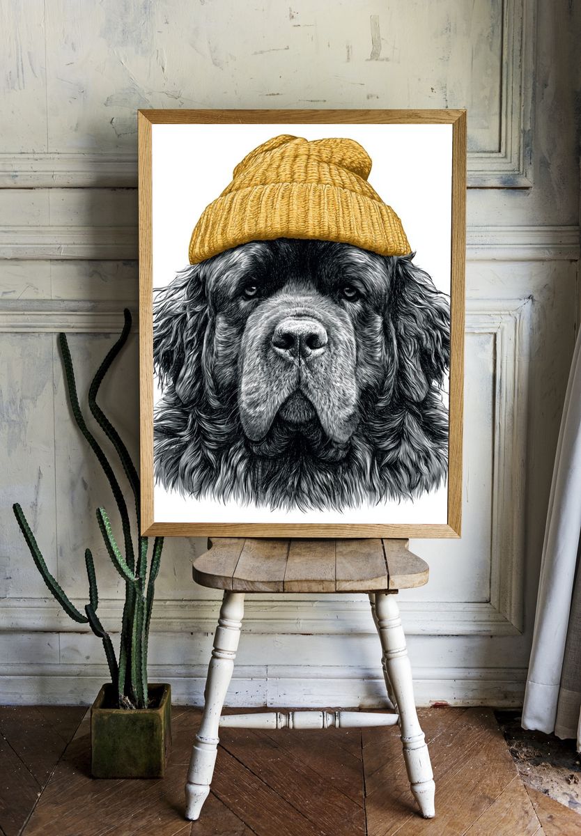 Bearded Dog in Beanie Illustration Poster. — room view 1