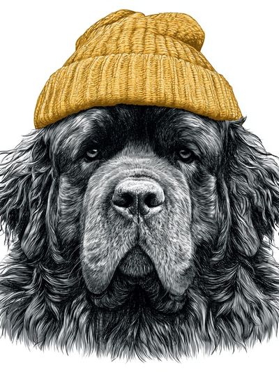 Bearded Dog in Beanie Illustration Poster. poster
