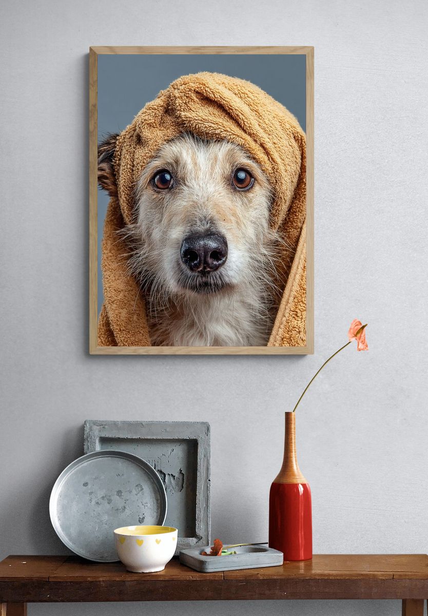 Dog Portrait Photography Poster. — room view 3