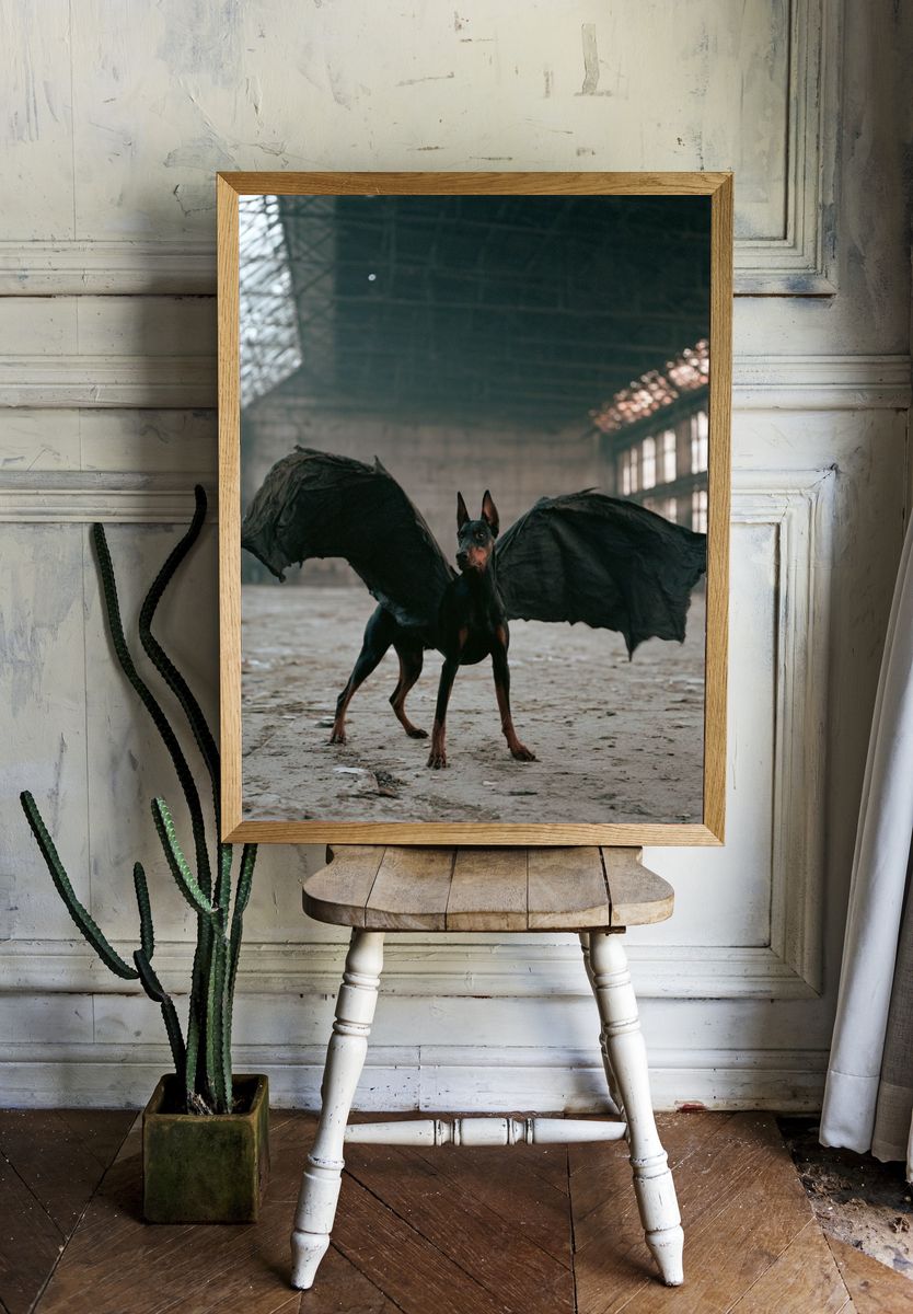 Winged Doberman Photography Poster. — room view 1