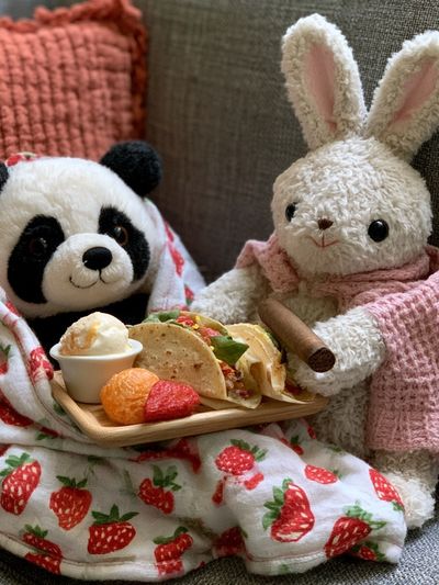 Panda and Bunny Picnic Photography Poster.