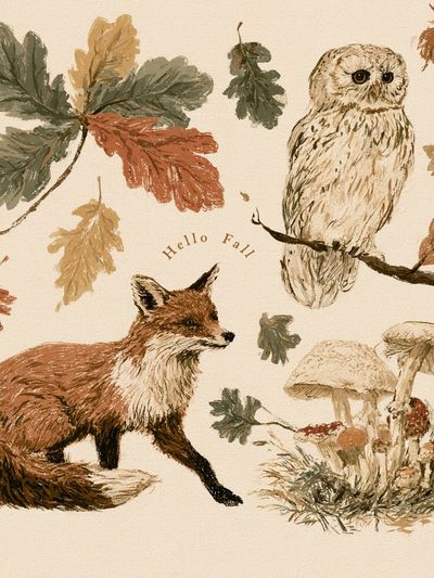 Autumn Woodland Animals Illustration Poster. poster
