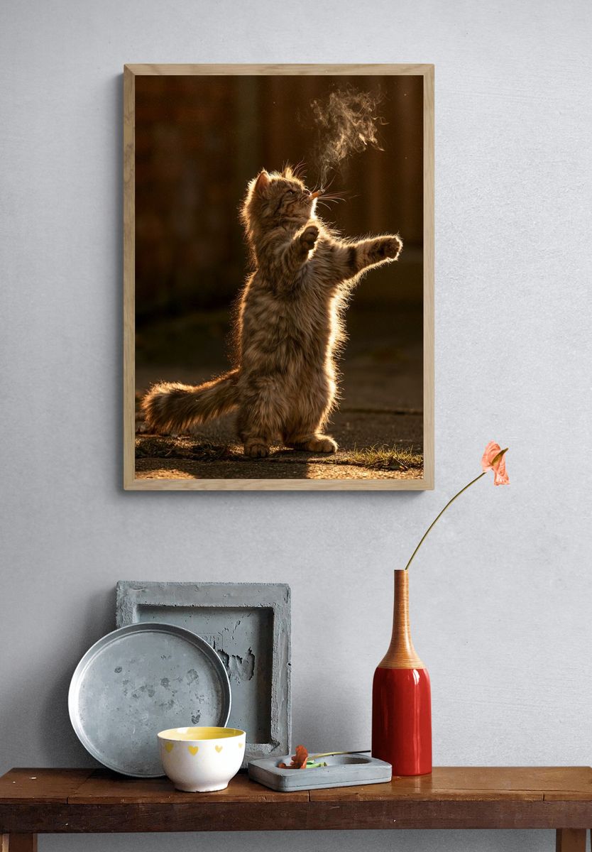 Backlit Smoking Cat Photography Poster. — room view 3