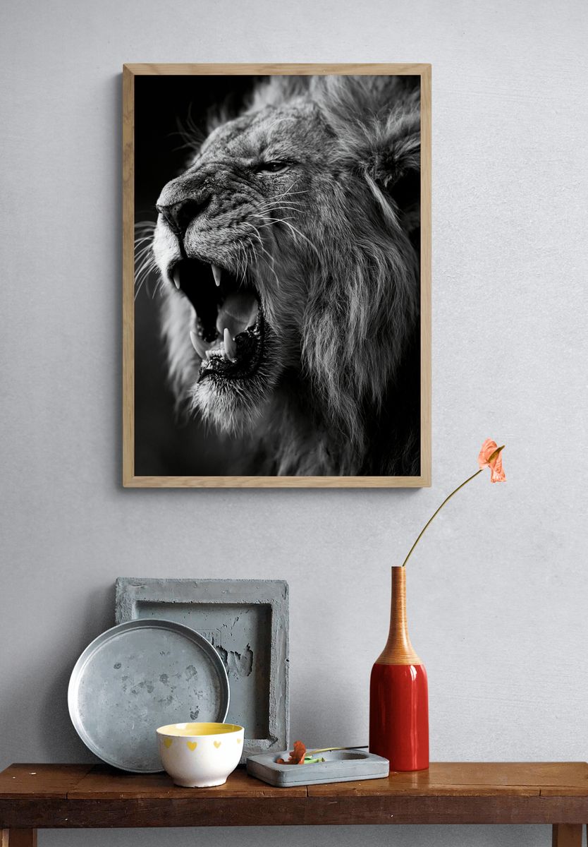Roaring Lion Black-White Poster. — room view 3
