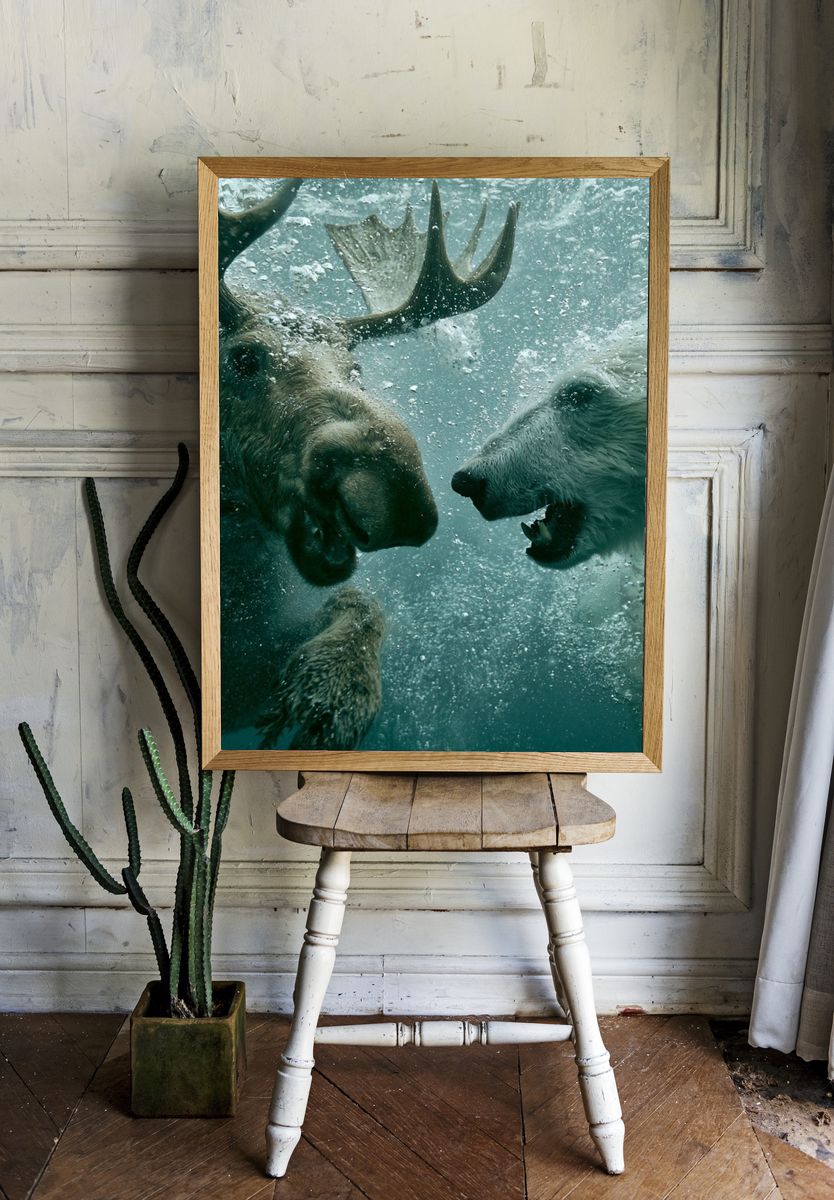 Underwater Bear Encounter Photography Poster. — room view 1