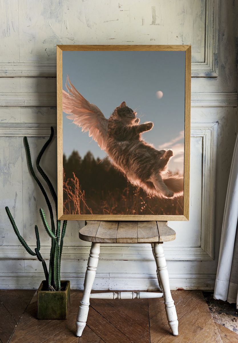 Winged Cat Sunset Photography Poster. — room view 1