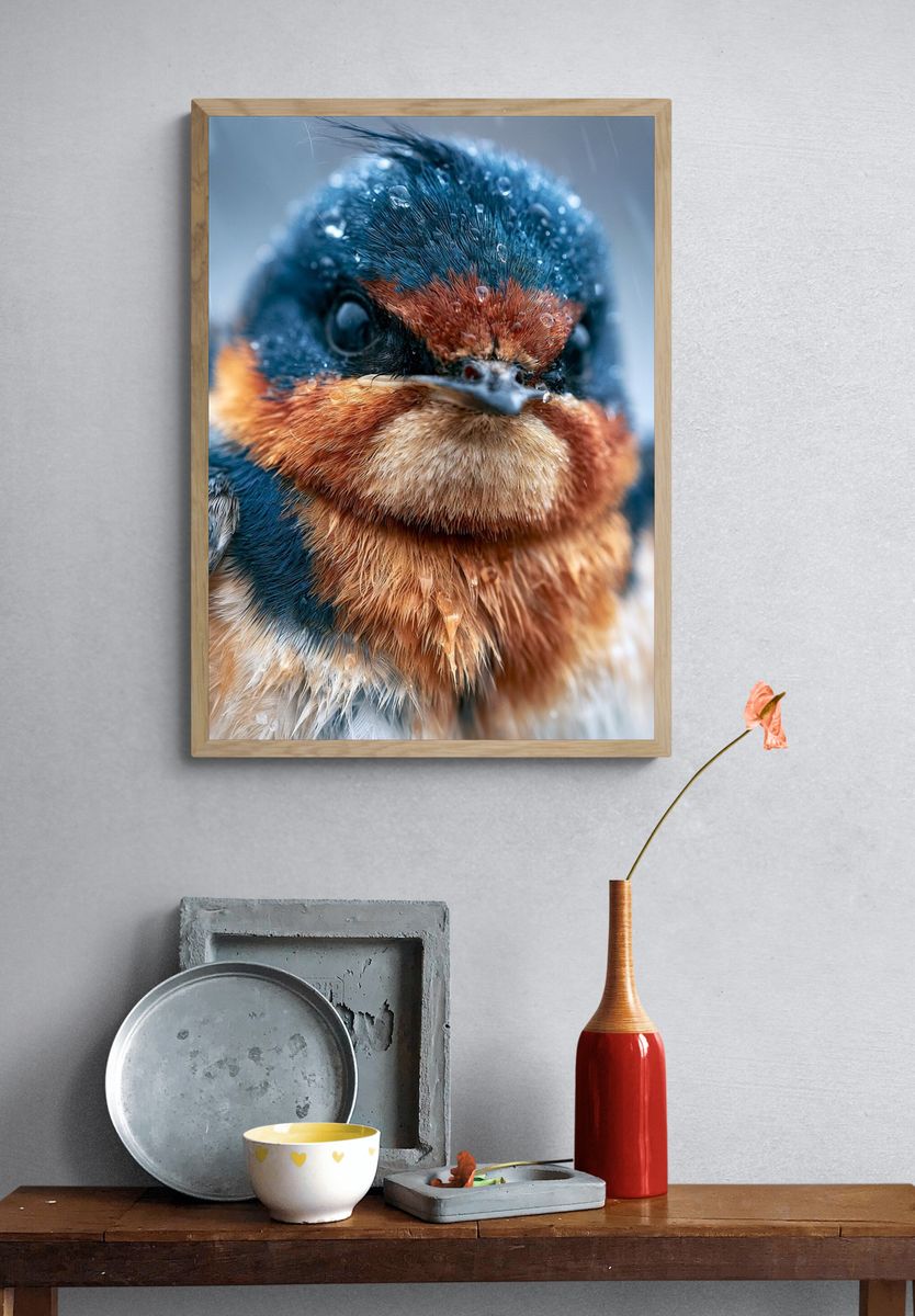 Wet Swallow Portrait Poster. — room view 3