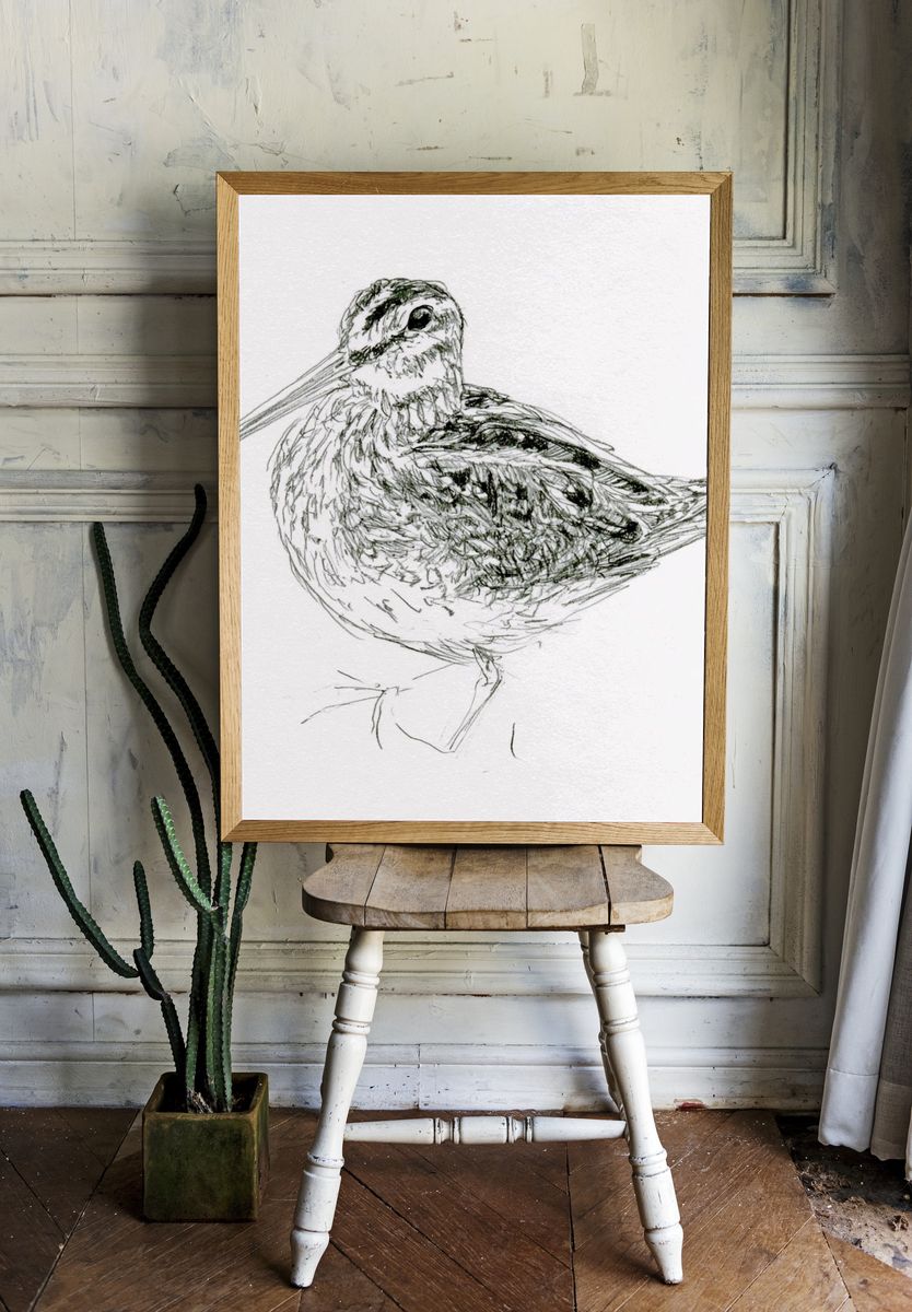 Snipe Bird Line Art Poster. room preview