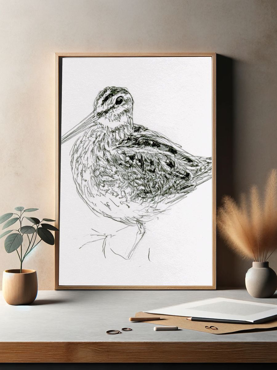 Snipe Bird Line Art Poster. — room view 2