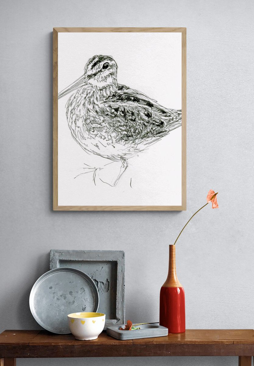 Snipe Bird Line Art Poster. — room view 3