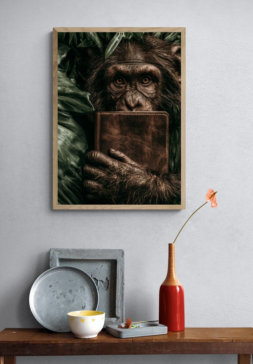 Chimpanzee with Journal Photography Poster. — room view 3