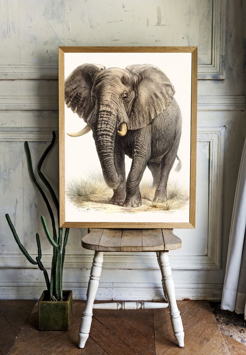 Elephant Vintage Illustration Poster. — room view 1