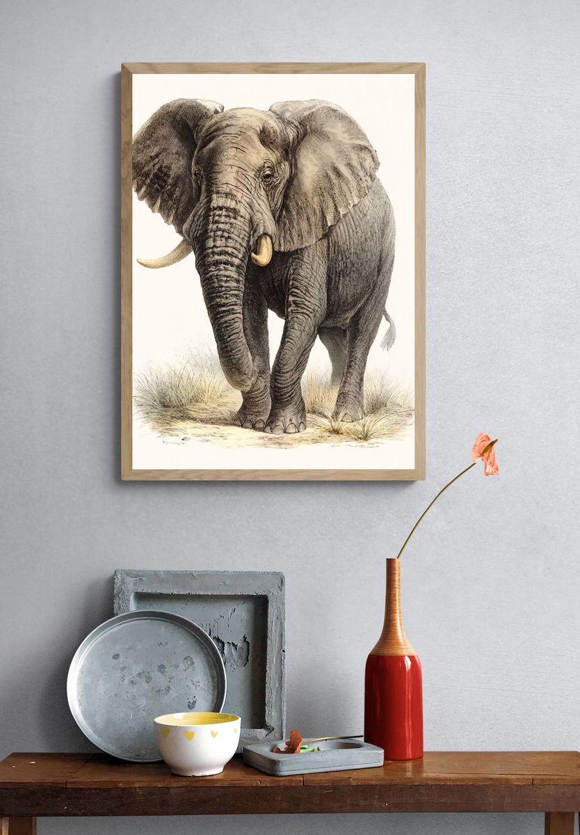 Elephant Vintage Illustration Poster. — room view 3