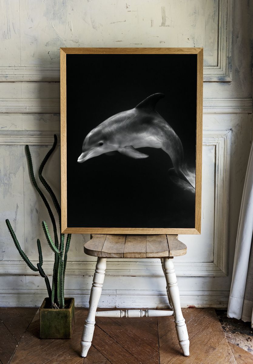 Dolphin in Motion Photography Poster. — room view 1