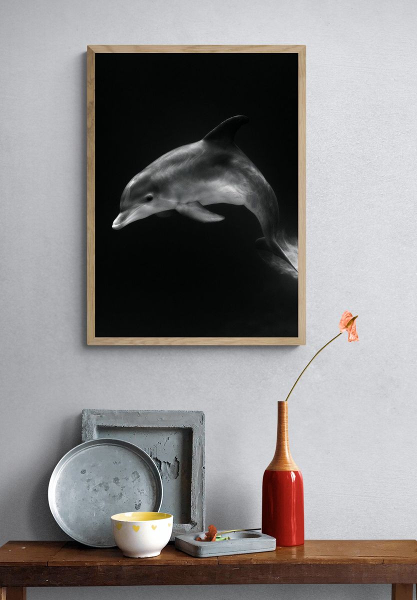 Dolphin in Motion Photography Poster. — room view 3