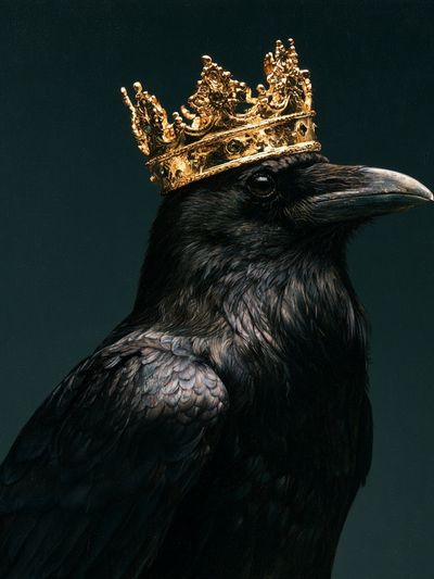 Crowned Raven Portrait Poster.