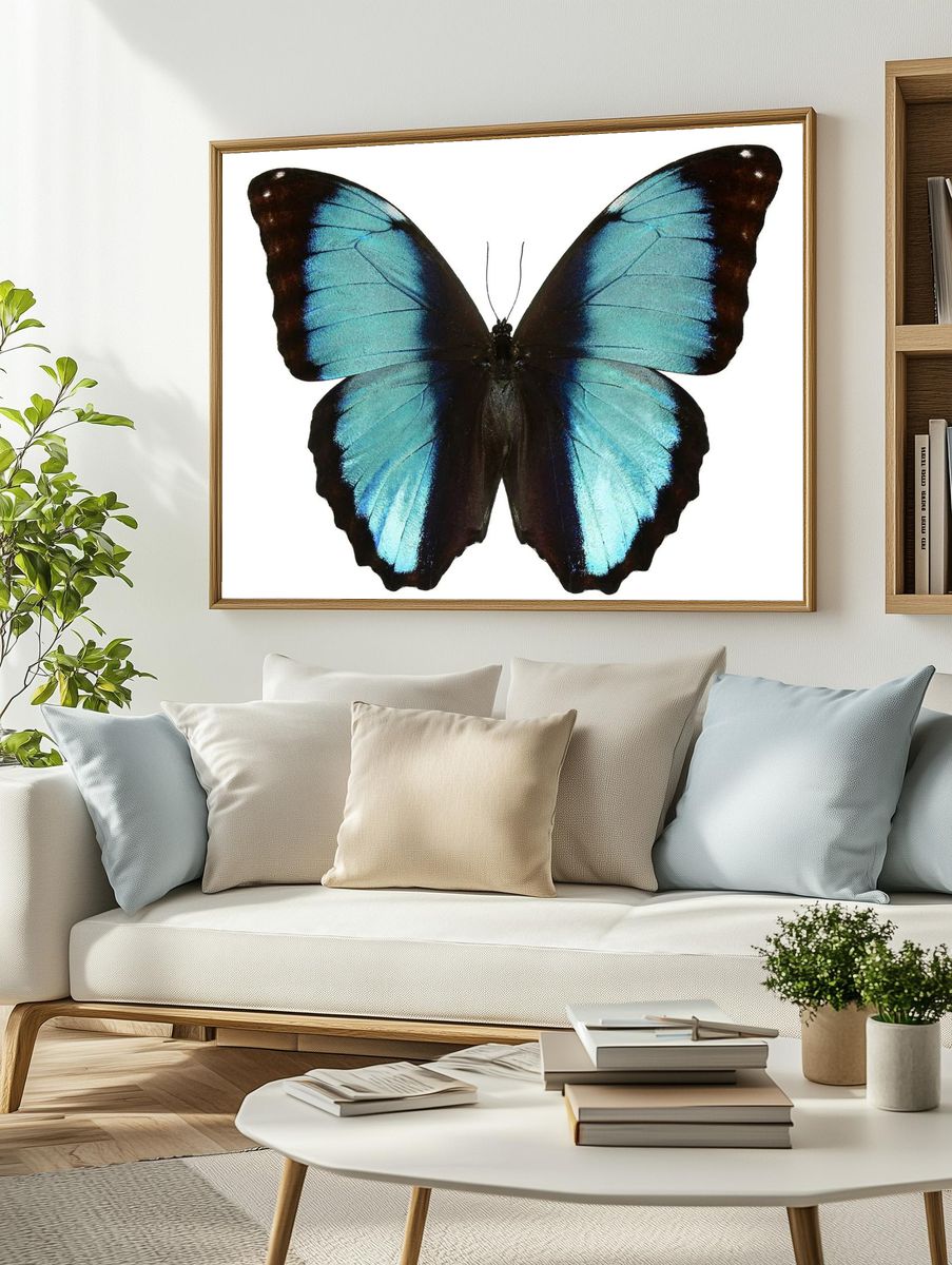 Beautiful butterfly white background. Free. — room view 2