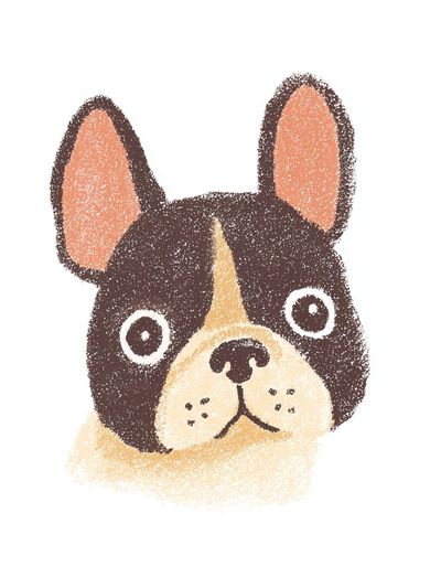 French Bulldog Illustration Poster. poster print