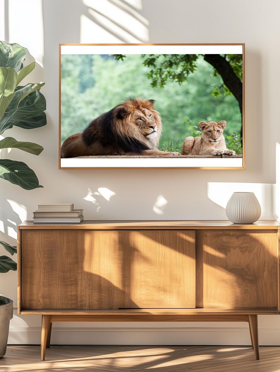 African Lion (2011) Mehgan Murphy. — room view 3