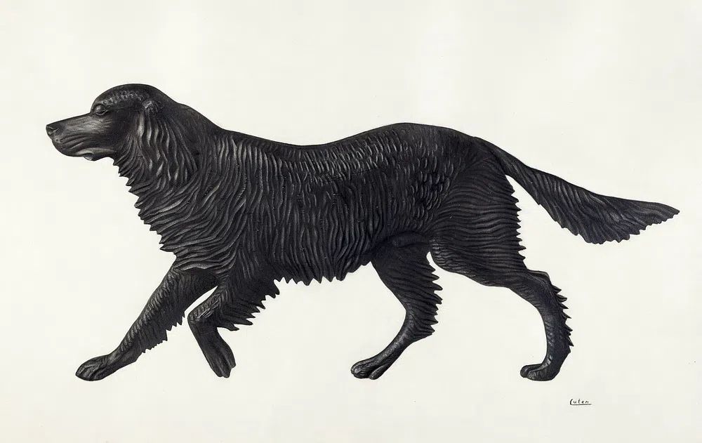 Weather Vane Pattern (ca. 1939). poster detail