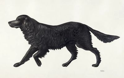 Weather Vane Pattern (ca. 1939). poster print