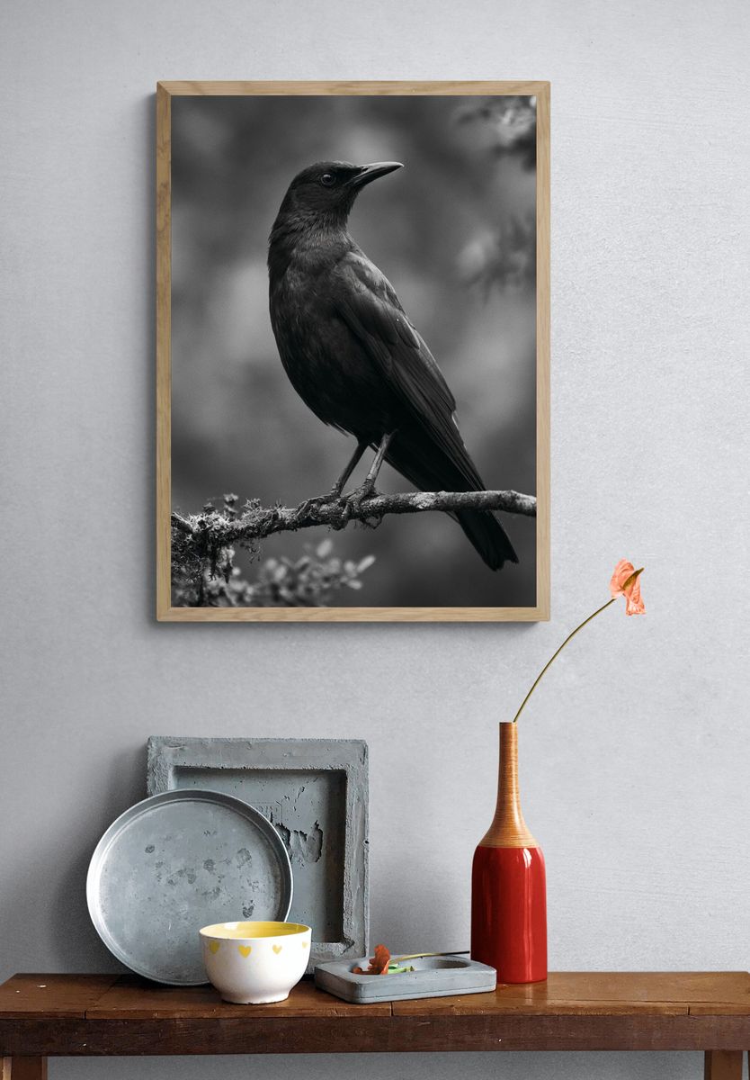 Black Bird Portrait Photography Poster. — room view 3