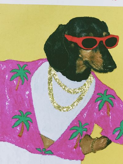 Dachshund in Pink Shirt Poster. poster