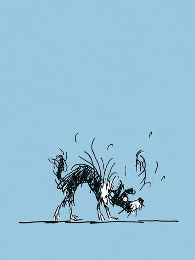 Playful Dog Sketch Print. poster