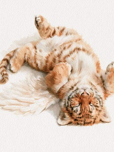 Sleeping Tiger Cub Watercolor Poster. poster
