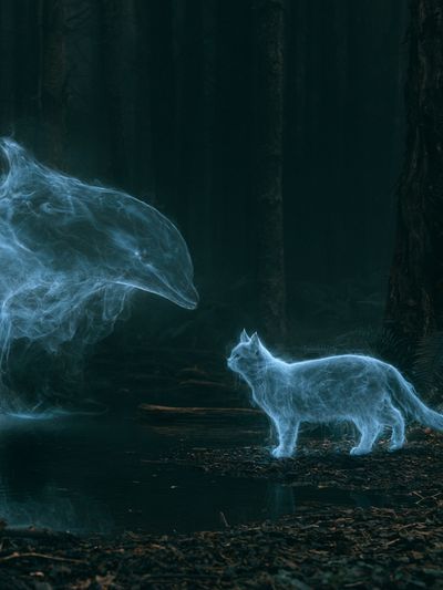 Spirit Cat Forest Poster.