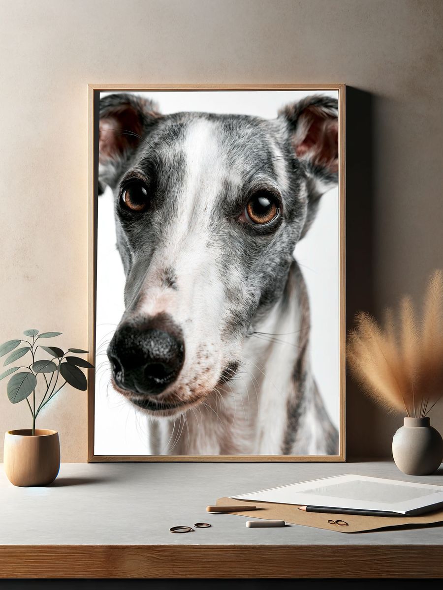 Greyhound Portrait Photography Poster. — room view 2