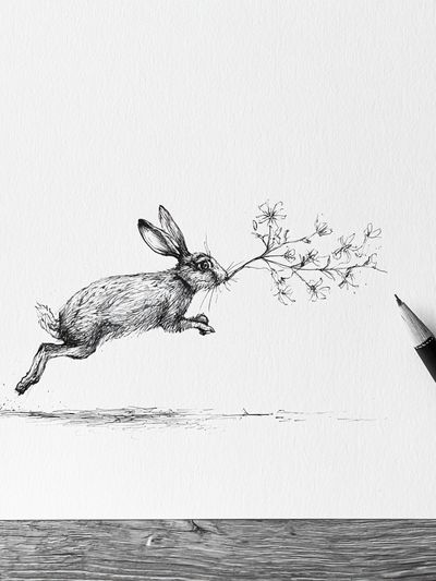 Leaping Hare Line Art Poster. poster