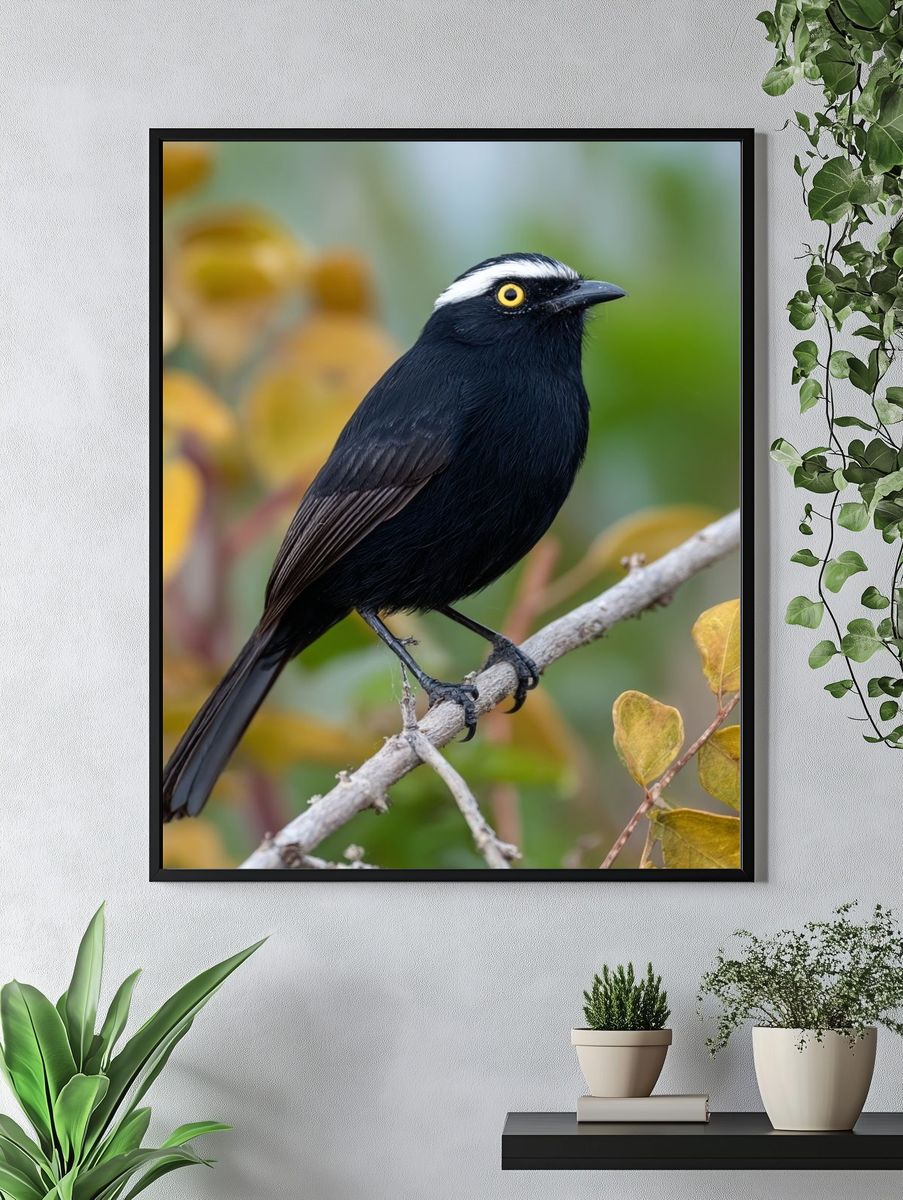 Black Bird on Branch Photography Poster. — room view 4