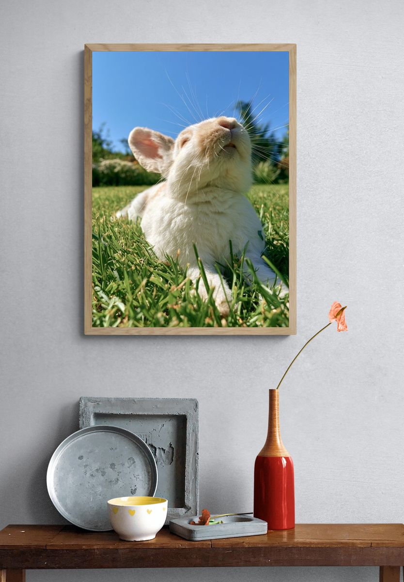 Sunlit Bunny Portrait Poster. — room view 3