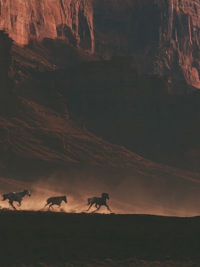 Wild Horses Canyon Run Poster.