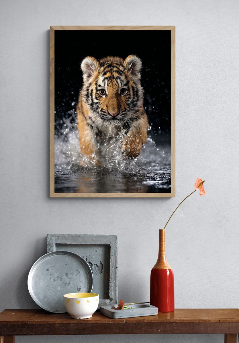 Tiger Cub Splash Photography Poster. — room view 3