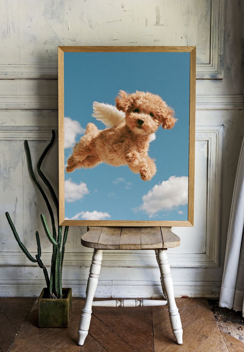 Flying Puppy Photography Poster. — room view 1