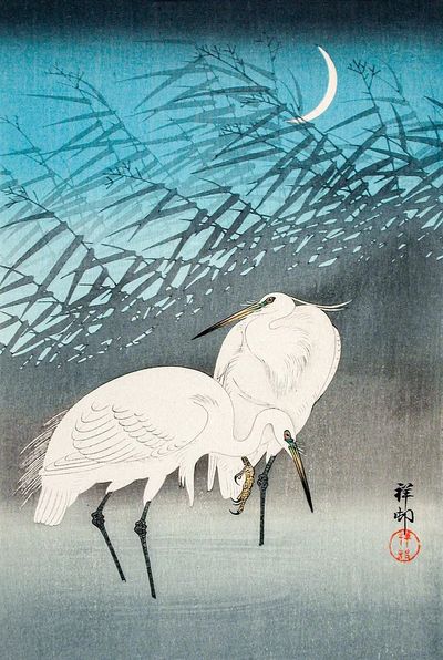 Egrets Reeds Moonlight (1926) Ohara. poster print
