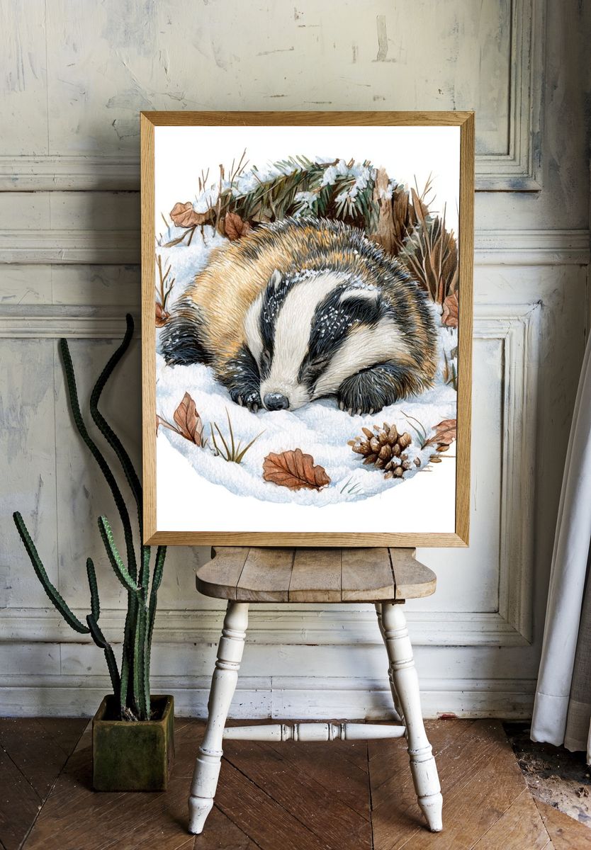 Sleeping Badger Winter Watercolor Poster. — room view 1