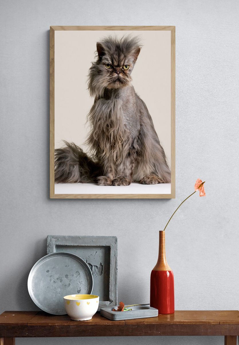 Persian Cat Portrait Poster. — room view 3