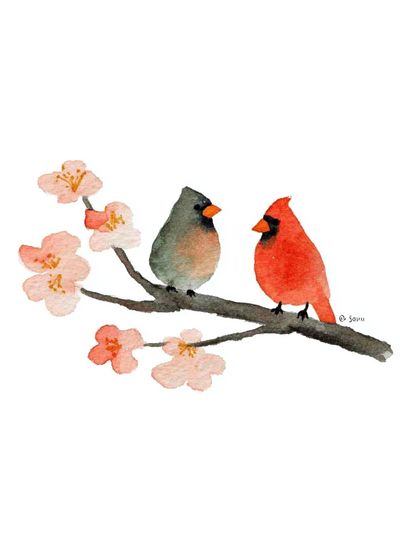 Cardinals on Cherry Blossom Branch Print. poster print