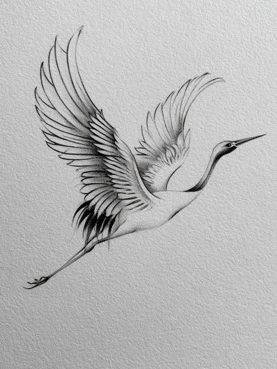 Crane in Flight Ink Poster.