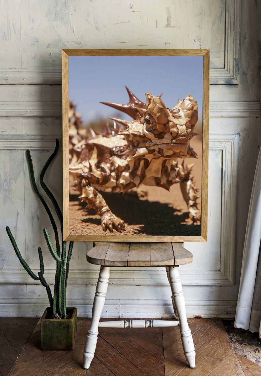 Thorny Devil Desert Wildlife Poster. room preview