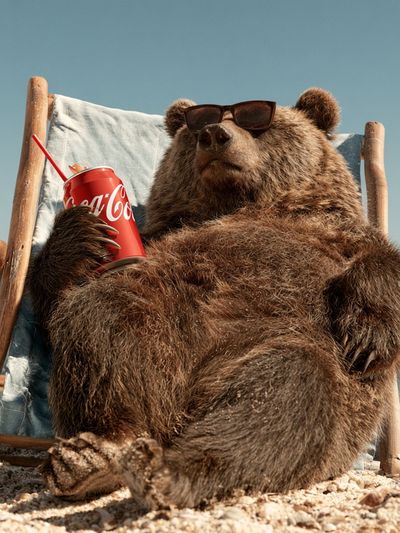 Beach Bear with Soda Poster. poster