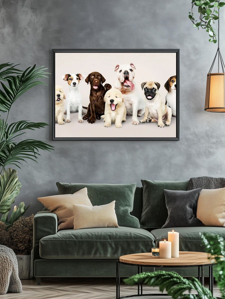 Group portrait of adorable puppies. — room view 4