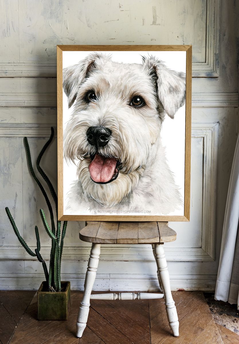 Schnauzer Watercolor Portrait Poster. room preview