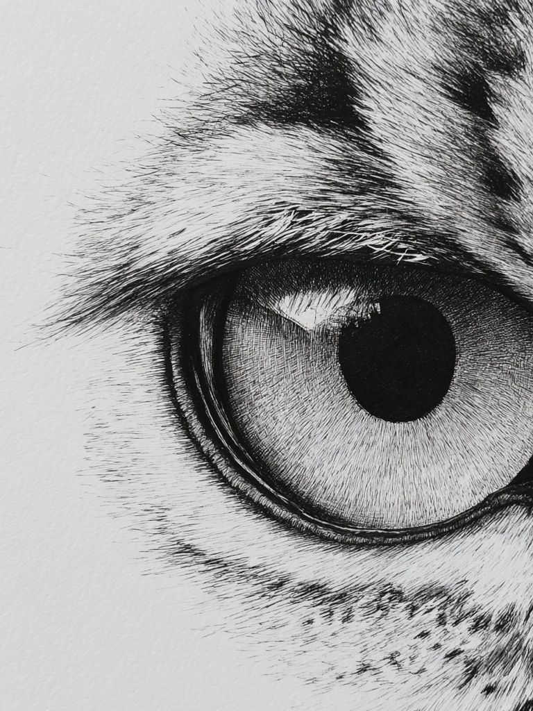 Leopard Eye Black-White Print. poster — animals art