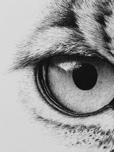 Leopard Eye Black-White Print. poster print