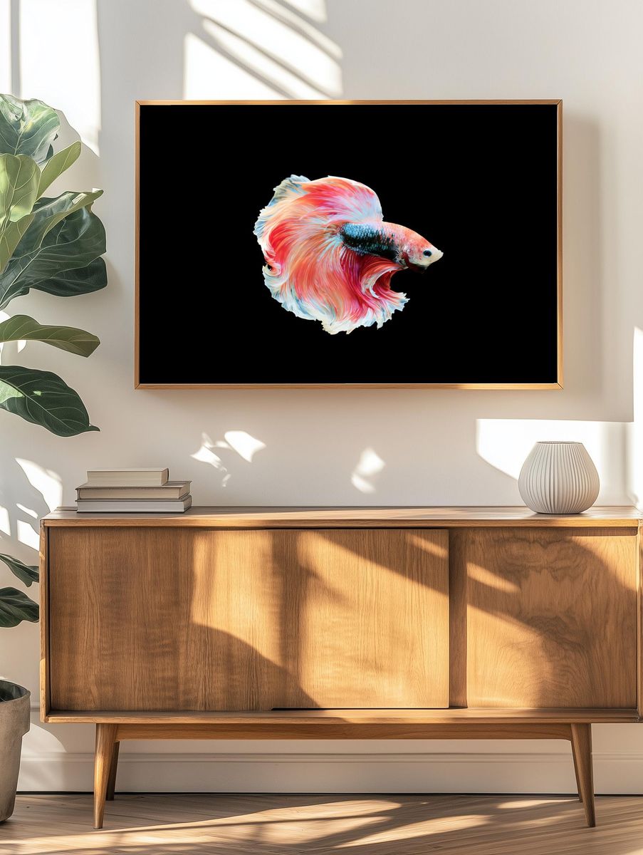 Betta Fish Digital Art Poster. — room view 3